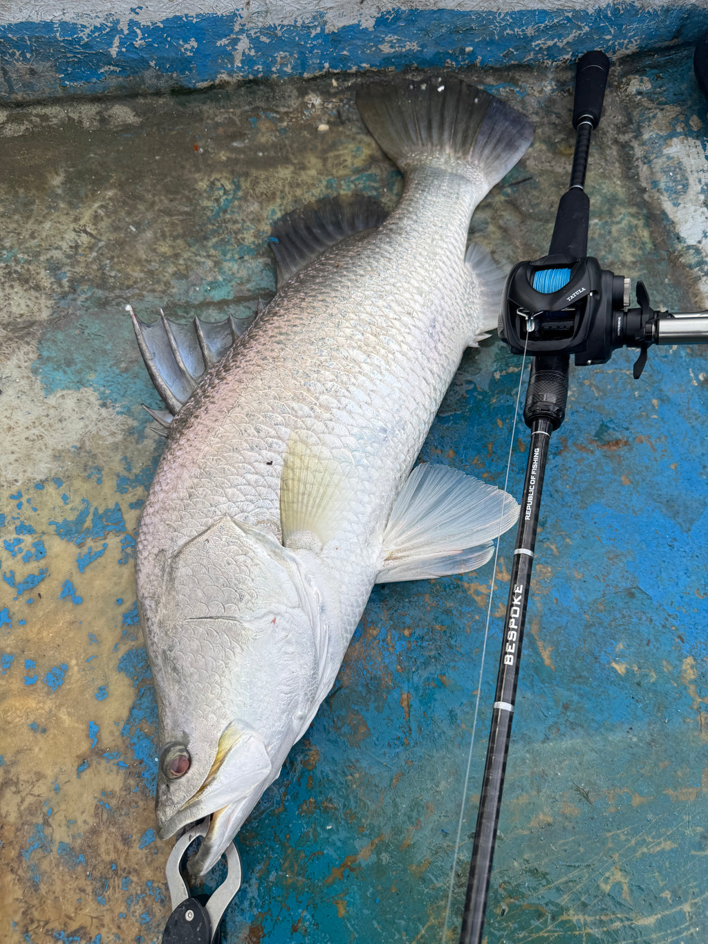 ROF BESPOKE TWO PIECE ROD 1.87m