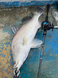 ROF BESPOKE TWO PIECE ROD 1.87m