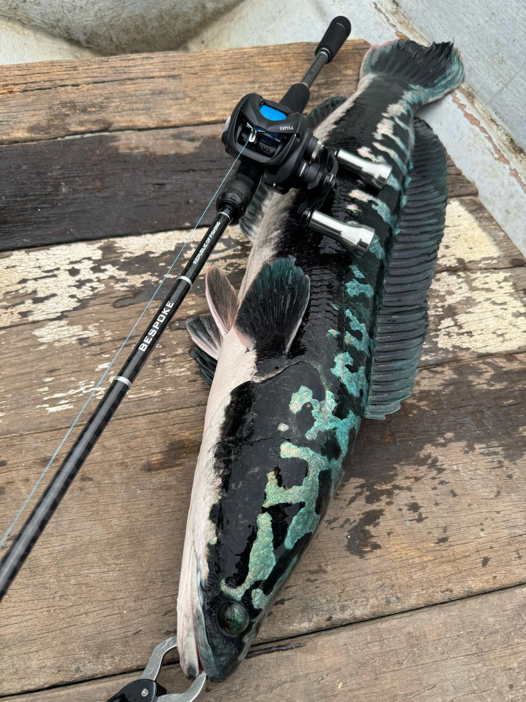 ROF BESPOKE TWO PIECE ROD 1.87m